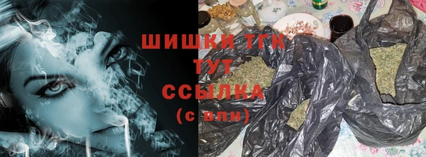 PSILOCYBIN Балабаново