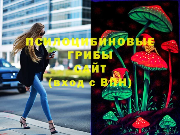 ешки Балахна