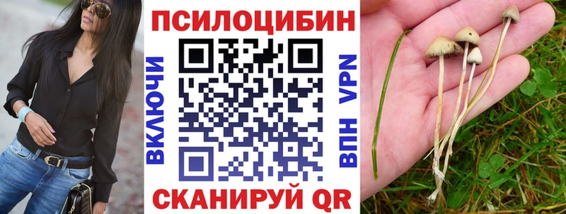 Псилоцибиновые грибы MAGIC MUSHROOMS цена Усть-Джегута